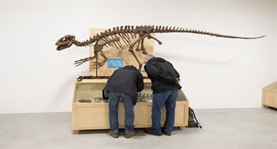 Dino Parque tem mais novidades para o 2º ano de existência