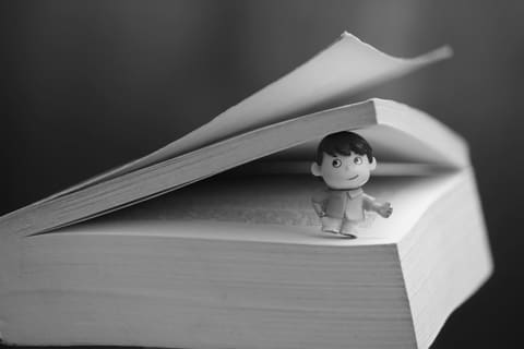 Livro em três línguas oficiais portuguesas celebra Língua Materna