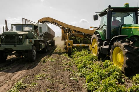 Comércio agroalimentar na UE regista novo recorde