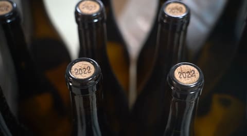 Mais e melhor vinho na Adega Alveirão