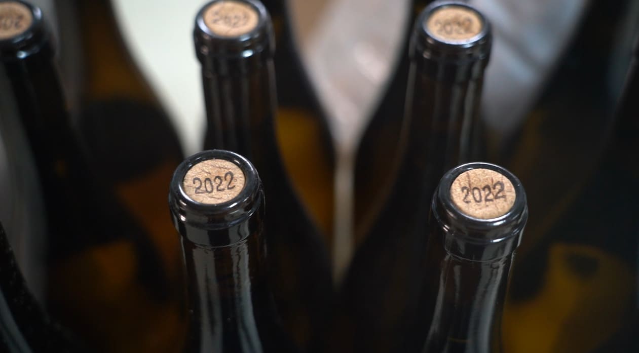 Mais e melhor vinho na Adega Alveirão