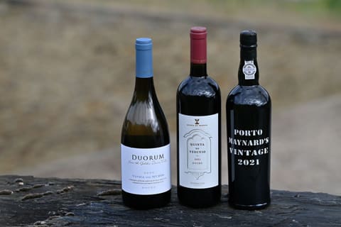 Estes são os melhores vinho do Douro Superior