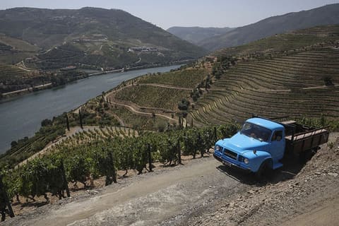 Petição para salvar viticultores do Douro ganha apoio