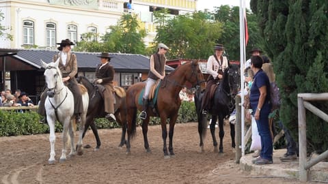 Feira da Golegã: uma experiência imperdível