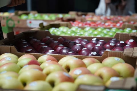 Feira da Maçã 2025 celebra a tradição e o sabor de Armamar