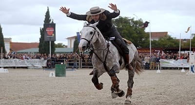 Feira Nacional do Cavalo, na Golegã, continua a ultrapassar expectativas