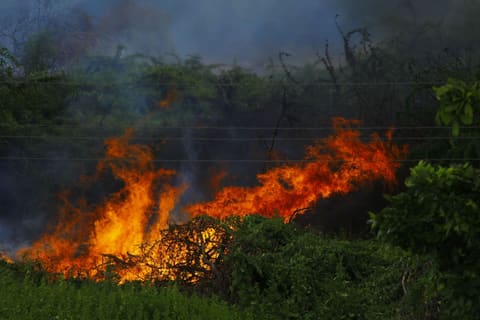 Há portugueses afetados pelos incêndios em Bordéus