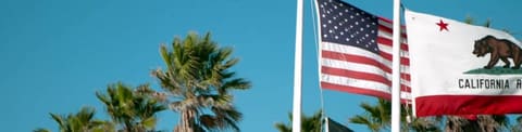 Projeto quer registar experiência da comunidade luso-americana nos EUA