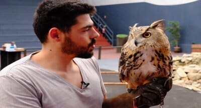 Conheça o Jardim Zoológico da Maia e apadrinhe um animal