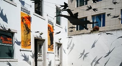 Conheça o museu dedicado à vida e obra de Rafael Bordalo Pinheiro, genial artista português