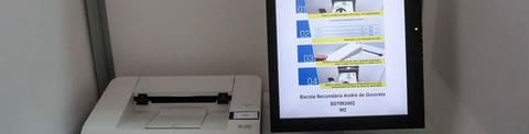 OE2022: Eleições para Conselho das Comunidades vão ter projeto-piloto de voto eletrónico