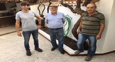 A pobreza dos solos é sinónimo da riqueza dos vinhos da Adega Alveirão