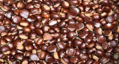Feira da Castanha proporcionou paladares únicos em Trancoso