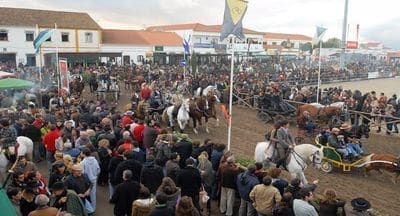 Milhares de pessoas rumaram à Golegã para um certame onde o cavalo é rei