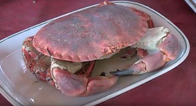 Uma Marisqueira que já vai na quarta geração