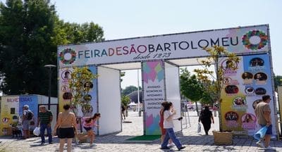 Feira de São Bartolomeu em Trancoso