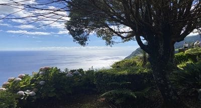 Congresso Mundial das Academias do Bacalhau promove os Açores