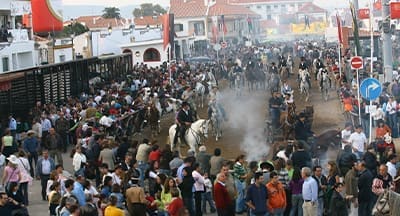 Feira Nacional do Cavalo, na Golegã, ultrapassou expectativas