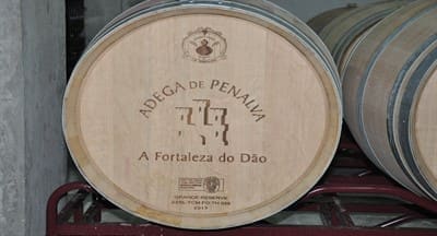 A fortaleza da região do Dão
